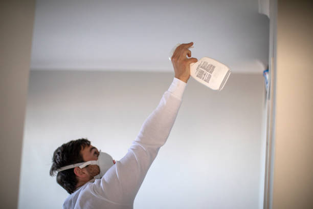 Best Mold Cleaning Services  in Royal Pines, NC